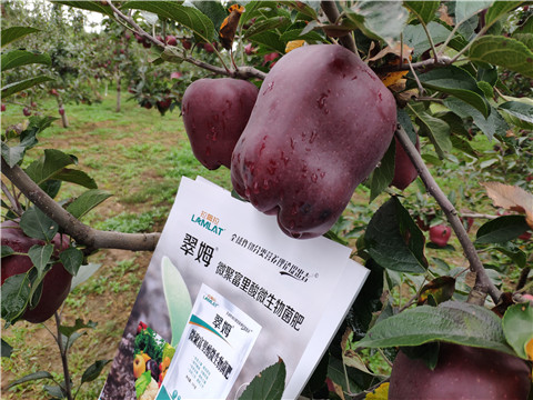 微生物菌劑，