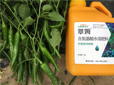 根碧多，微生物菌，葉面肥