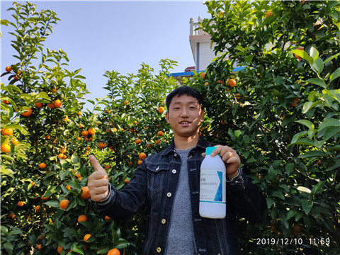 硼肥，拉姆拉