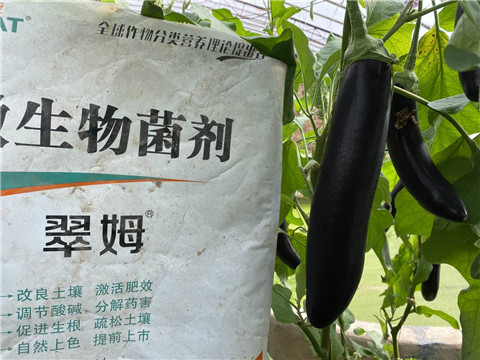 微生物菌劑，拉姆拉
