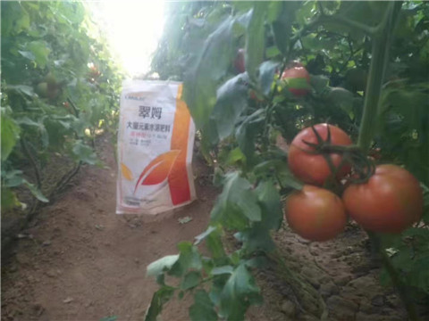 大量元素水溶肥，拉姆拉 