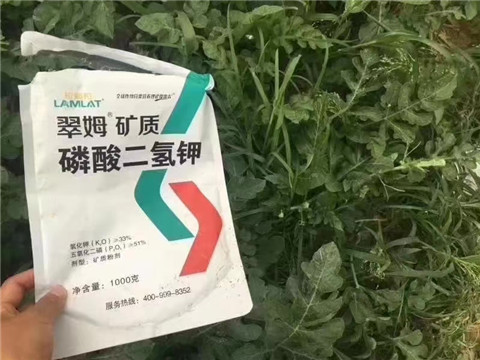 磷酸二氫鉀，硼肥，沖施肥
