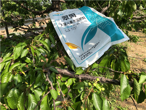 大量元素水溶肥，磷酸二氫鉀，硼肥