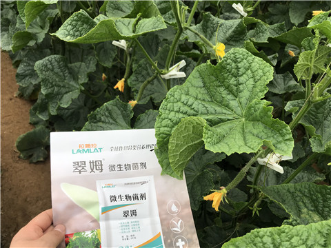 微生物菌劑，水溶肥，拉姆拉
