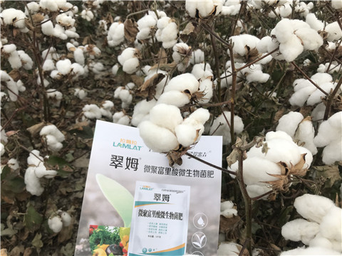 微生物菌劑，根碧多，拉姆拉