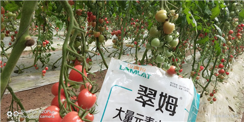 水溶肥，翠姆，拉姆拉