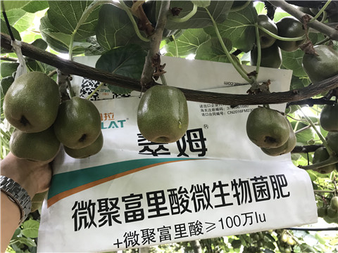 微生物菌劑，翠姆，拉姆拉