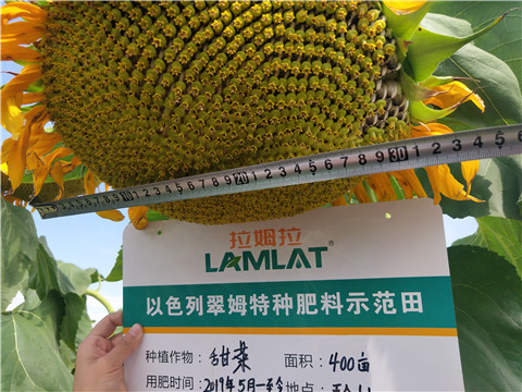 水溶肥，微生物菌劑，拉姆拉