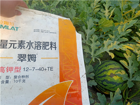 水溶肥，拉姆拉，翠姆