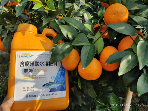 水溶肥，翠姆，拉姆拉