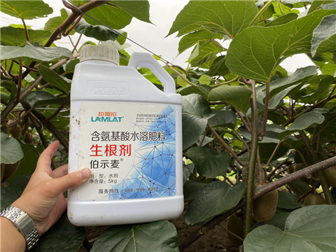 水溶肥，生根劑，微生物菌劑，伯示麥，拉姆拉