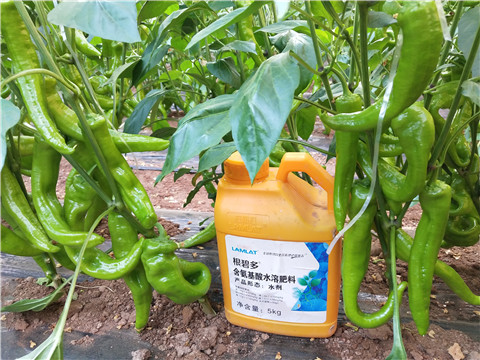 水溶肥，拉姆拉