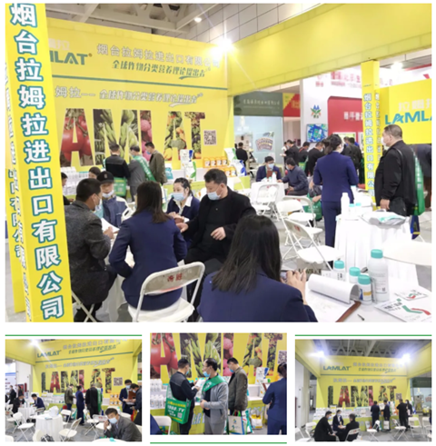 水溶肥，拉姆拉，翠姆