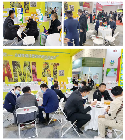 水溶肥，拉姆拉，翠姆