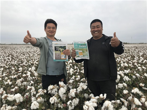 棉花，水溶肥，拉姆拉，翠姆