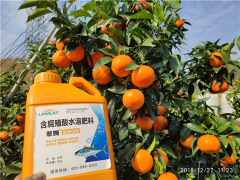 水溶肥，拉姆拉，翠姆