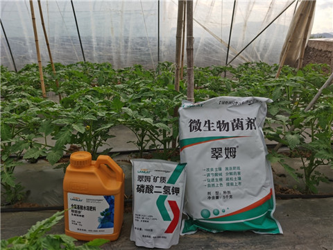 水溶肥，拉姆拉，翠姆