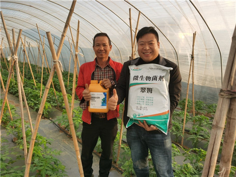 水溶肥，拉姆拉，翠姆