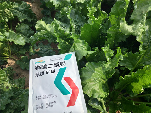 水溶肥，拉姆拉，翠姆