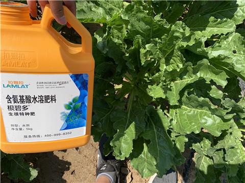 水溶肥，拉姆拉，翠姆