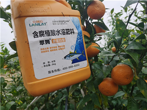 水溶肥，拉姆拉，翠姆