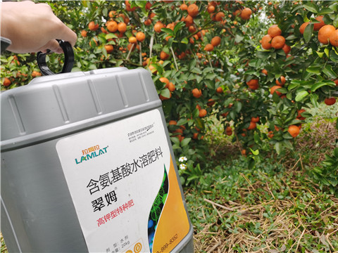 水溶肥，拉姆拉，翠姆