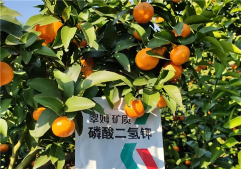 磷酸二氫鉀，拉姆拉，翠姆