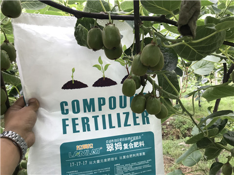 顆粒水溶肥，拉姆拉，翠姆