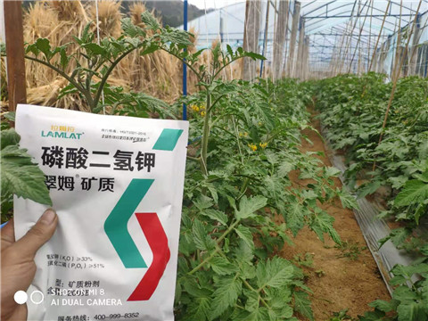 磷酸二氫鉀，拉姆拉，翠姆