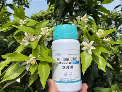 葉面肥，拉姆拉，翠姆