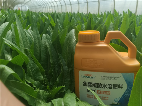 沖施肥，拉姆拉，翠姆