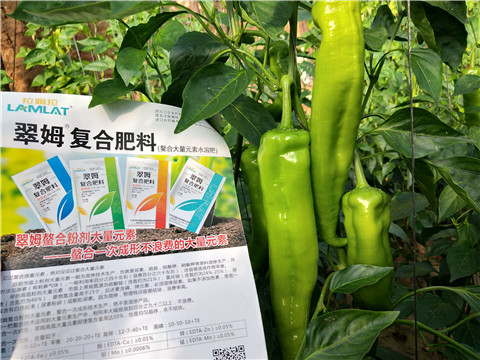 辣椒，拉姆拉，翠姆