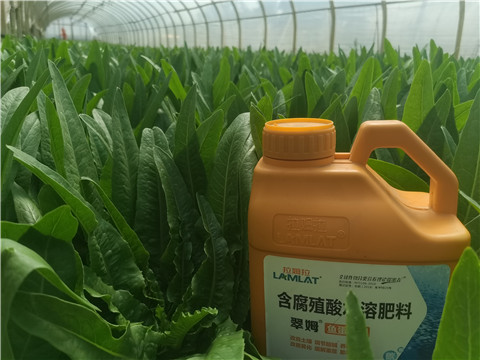 水溶肥，翠姆，拉姆拉