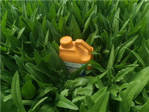 水溶肥，翠姆，拉姆拉