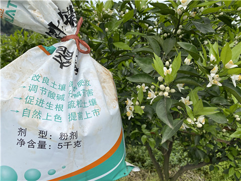 水溶肥，翠姆，拉姆拉