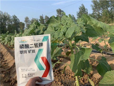 水溶肥，翠姆，拉姆拉