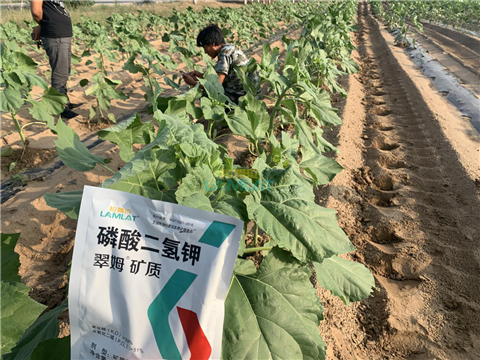 水溶肥，翠姆，拉姆拉