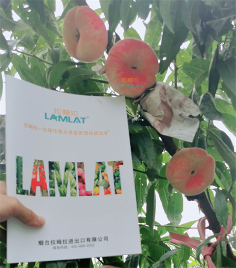 水溶肥，翠姆，拉姆拉
