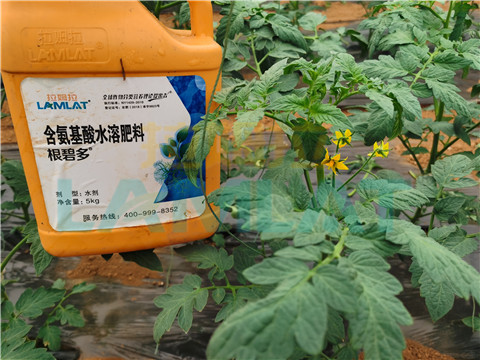 水溶肥，翠姆，拉姆拉
