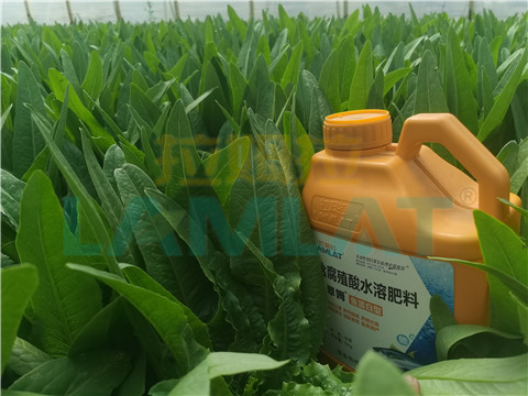 水溶肥，翠姆，拉姆拉