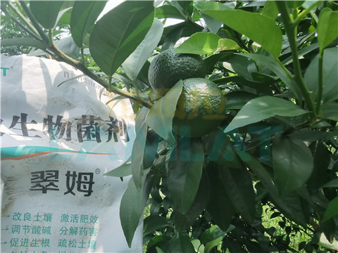 微生物菌劑，翠姆，拉姆拉