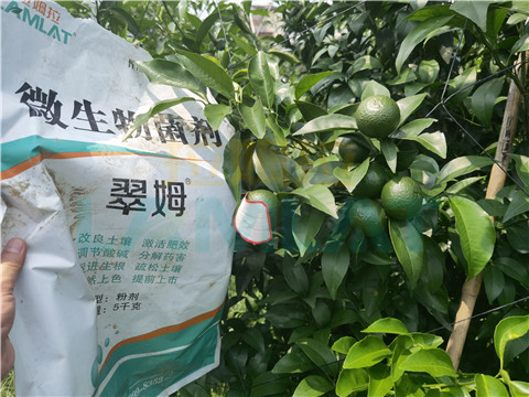 微生物菌劑，翠姆，拉姆拉