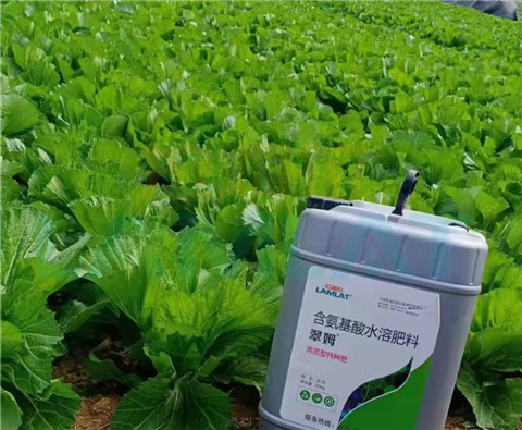 水溶肥，翠姆，拉姆拉