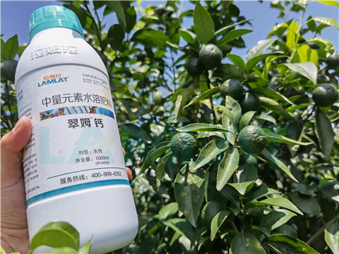 水溶肥，拉姆拉，翠姆