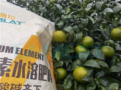 水溶肥，拉姆拉，翠姆