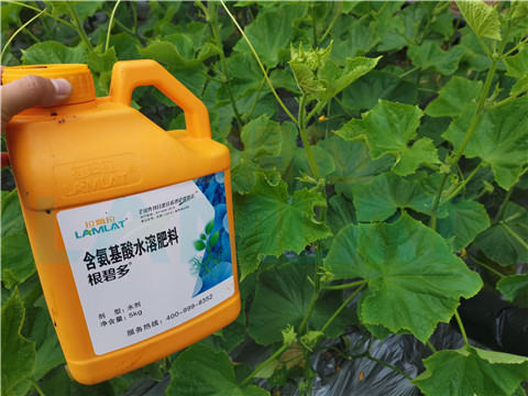 水溶肥，拉姆拉，翠姆