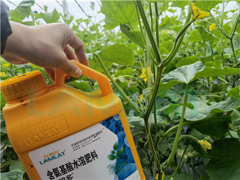 生根劑，拉姆拉，翠姆