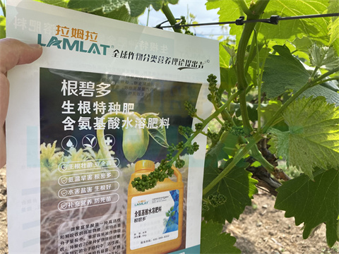 水溶肥，拉姆拉，翠姆