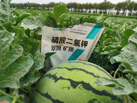 水溶肥，拉姆拉，翠姆