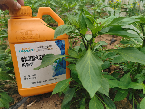 水溶肥，翠姆，拉姆拉